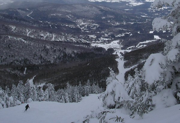 Sugarbush View from Near the Top