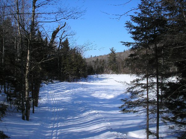 Backcountry at Blueberry