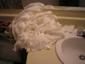 Toilet Paper Fiasco