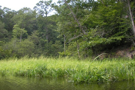 MasonNeck3