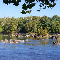 2014