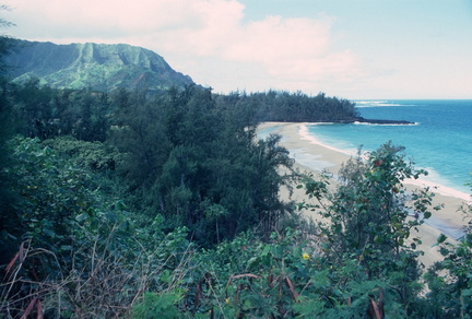 Image 0042