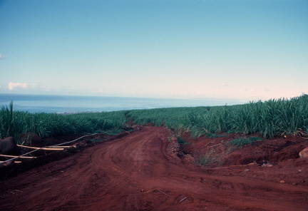 Image 0034