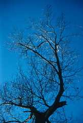 Image 0014