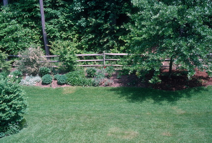 Image 0036