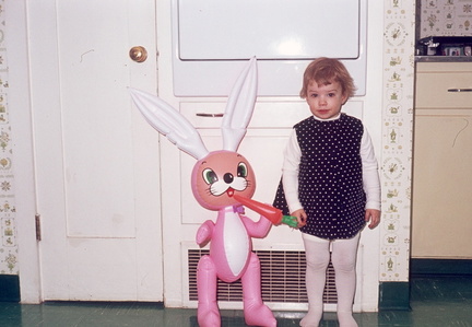 Image 0029