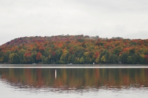 Camping At Cranberry Lake Park in NY