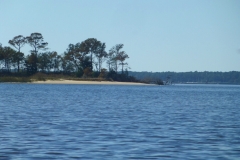 CarolinaBeachStateParKPaddling02