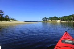 CarolinaBeachStateParKPaddling04