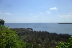 pineIslandAudubonWalk_03