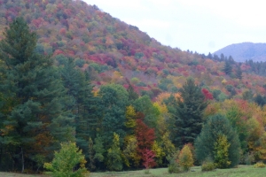 Staying At Ed Devino's Deer Camp Near Pittfield, VT