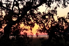sunset_06