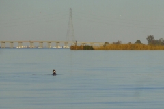 ViewAcrossTheNansemond8