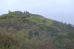 DinasBran2