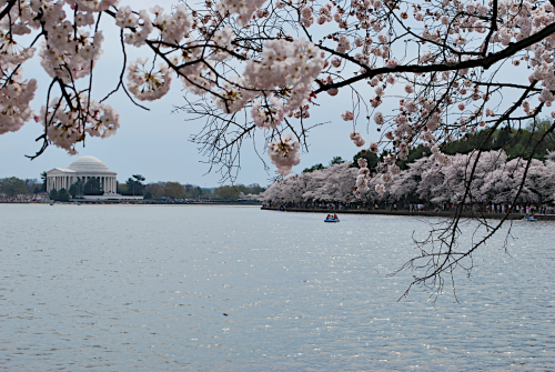 Jefferson Memorial