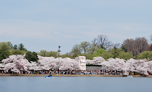 MLK Memorial