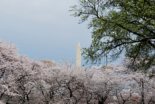 Washington Monument